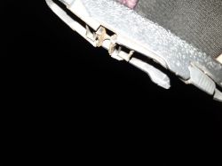 Jakie wycieraczki pasują do Alfy? Złącza niekompatybilne? Pomocy!