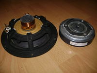 Problem z głośnikiem. Pęknięty kosz...