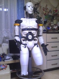 Damian - Robot humanoidalny