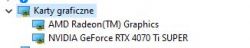 Lista kart graficznych w Menedżerze urządzeń systemu Windows.