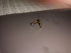 Jak sprawdzić silnik w wkrętarce Parkside PABS 20-Li A1? Gdzie kupić nowe szczotki?