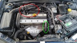Vectra b 2.0 16V odma - Witam chcialbym sie dowiedziec gdzie znajduje sie odma w