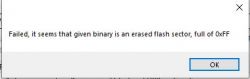 Error message stating that the given binary is an erased flash sector, full of 0xFF.
