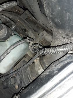 Seat Toledo II 1999 1.9 TDI - Brak kabla do czujnika intercoolera.