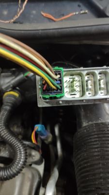 Peugeot 206 1.4b - Podłączenie czujnika wstecznego po zmianie skrzyni biegów