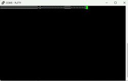 PuTTY terminal with unreadable characters displayed on a black background.