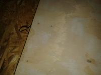 Kolumna 186 Horn DIY (moja pierwsza) na przetworniku RCF L18P300 Kolumna 186 Horn DIY (moja pierwsza) na przetworniku RCF L18P300