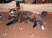 Stół z podświetleniem LED do jadalni.