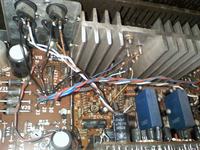 Renowacja i regeneracja altusów 75 od podstaw