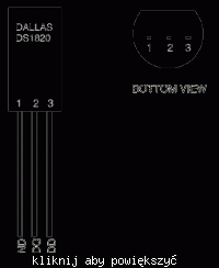 Komputerowy termometr DS1820
