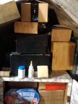 Anonimowe elektro-chomiki + konkurs(-y)