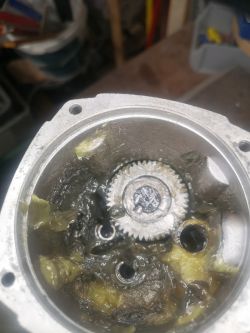 Wnętrze mechanizmu z widocznym kołem zębatym i smarem.