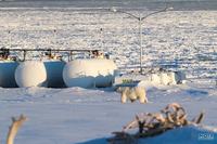 Życie na stacji polarnej - Technika zapewnia możliwości przetrwania