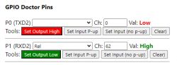 Screenshot of GPIO Doctor Pins interface with settings for P0 and P1.