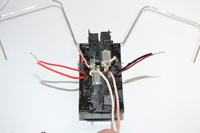 Zwariowany mechaniczny żuczek