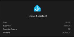 Home Assistant logo with version numbers for Core, Supervisor, Operating System, and Frontend.