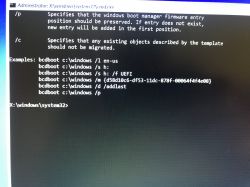 Windows10 SrtTrail.txt Issue: Black Screen After Restoring, GTX 970M Driver Concerns