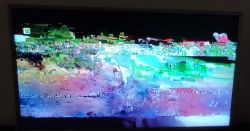 Telewizor Toshiba 46TL933 - "artefakty" na ekranie Telewizor Toshiba 46TL933 - "artefakty" na ekranie