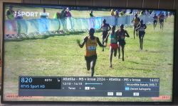 Zawodnicy biegnący podczas zawodów w krosie transmitowanych na kanale RTVS Sport na żywo.