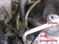 Cordoba 1998 1.6 75km - Nie odpala po mrozie, wężyki od pompy paliwa oznaczenia Cordoba 1998 1.6 75km - Nie odpala po mrozie, wężyki od pompy paliwa oznaczenia