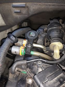 citroen c3 1.4 hdi - Citroen c3 1.4 hdi wymiana rozrządu i zapowietrzanie sie uk