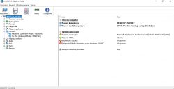 Zrzut ekranu z programu HWiNFO pokazujący specyfikacje systemowe laptopa HP Pavilion Gaming 15-dk1064nw.