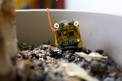 Wireless soil moisture sensors Wireless soil moisture sensors