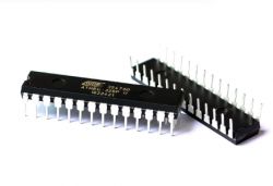 Two 28-pin DIP microcontrollers on a white background.