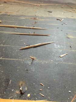 Zerwana podłoga w kuchni z widocznymi cienkimi, wysuszonymi deskami i papą.