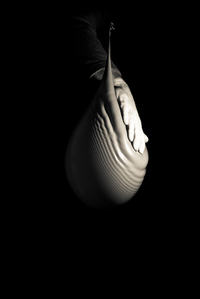 [BASCOM] regulacja czasu zwłoki dźwiękowego wyzwalacza lampy błyskowej