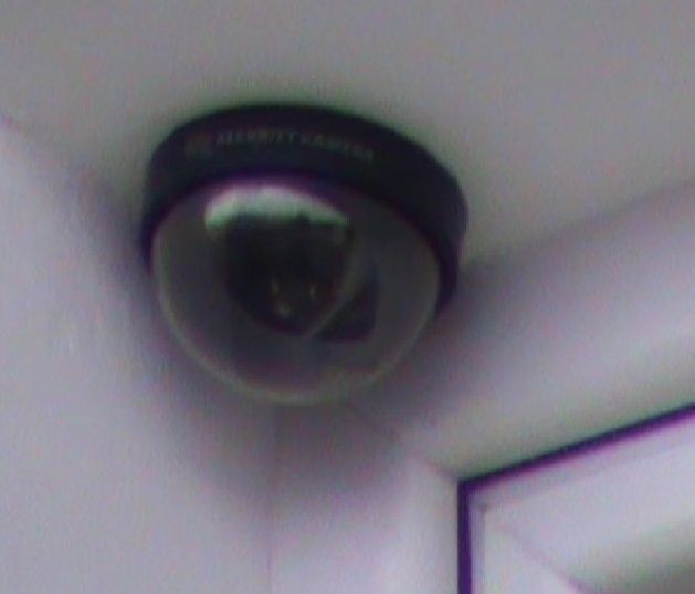 Neighbor's Surveillance Camera Invades Privacy: How To Legally Blind ...