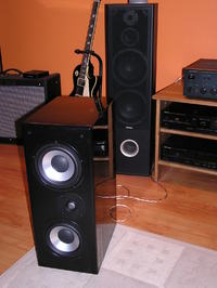 Tuningowanie Tonsil Fenix