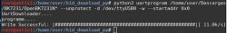 Software Writing to Microprocessor in Terminal Screenshot of a terminal showing the software writing process to a microprocessor.