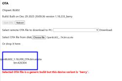 OTA screen with OpenBL602_1.18.209_OTA.bin.xz.ota file and device variant berry