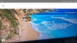 QLED Samsung pozioma linia/pasek na ekranie