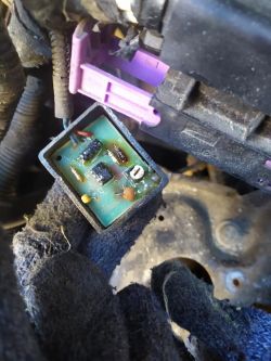 Peugeot 206 cc 1.6 16v 2003r - Brak świateł mijania