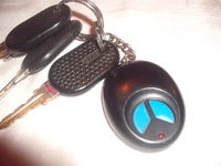 Alarm zintegrowany -czy ktoś potrafi go określić