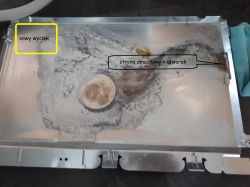 Zmywarka Whirlpool ADG9556/1 - suszenie-przeciek i gumy mocujące pompę.
