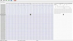 Screenshot showing a hexadecimal editor window with the contents of a binary file.