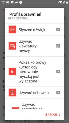 Ekran ustawień profilu uprawnień w aplikacji AnyDesk.