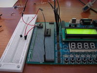 Atmega8 [C] - nie odczytuje lini 1Wire