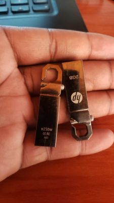 Metal HP 2GB USB Flash Drives Two metallic HP USB flash drives held in a hand.