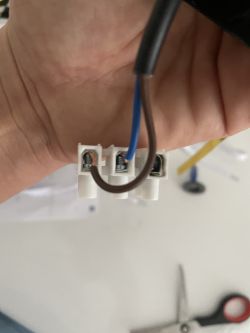 Zbliżenie na złącze elektryczne z dwoma kablami: brązowym i niebieskim.