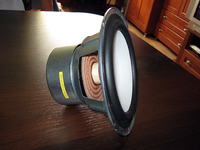 Coto za głośnik? Do czego najlepiej go włożyć?