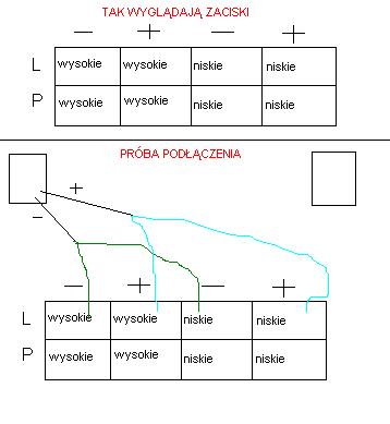 Technics sc-eh790 Bi-amp czy bi-wiring?