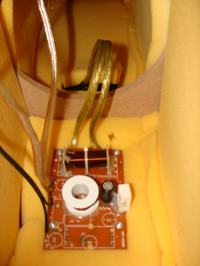 Prism Amethyst HT-150 - Tuning?