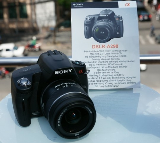 Sony a290 фото примеры