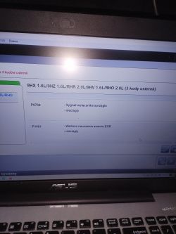 Zdjęcie ekranu komputera z listą kodów błędów dla Peugeot 308.