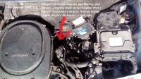 Fiat Seicento - Seicento, where is the speedometer sensor pulse?