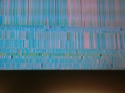 NEC 57" MultiSync LCD5710 - zakłócenia obrazu po godzinie.